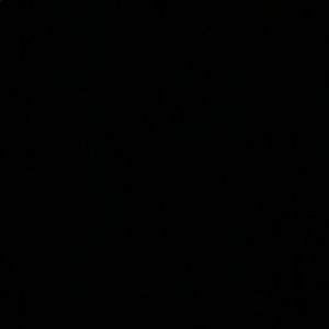 Meet your Posher, Ava